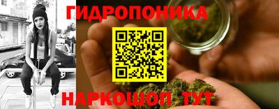 дурь Жуковский