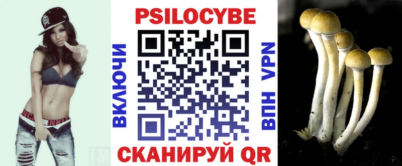 Псилоцибиновые грибы прущие грибы  Шумерля 