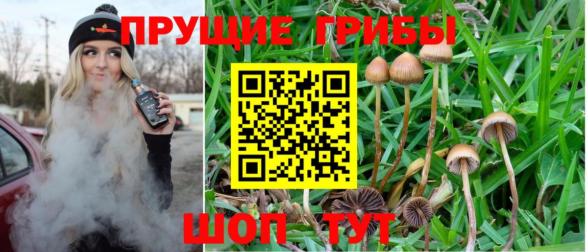 Галлюциногенные грибы мухоморы Шумерля