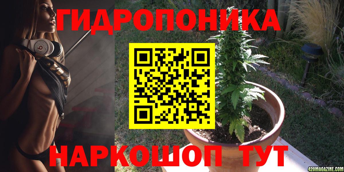 Бошки марихуана сатива  Конопля планчик  Вход с VPN  Шумерля  МАРИХУАНА планчик 